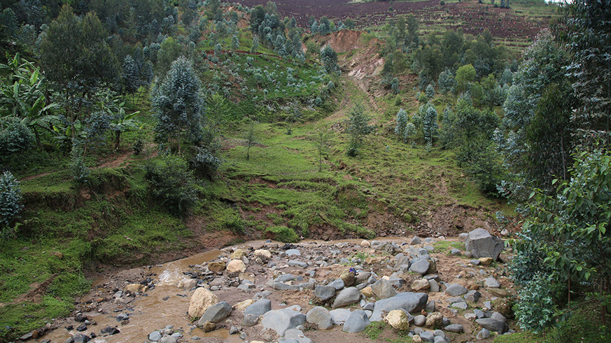 Rwanda Arboretum in Huye District.
