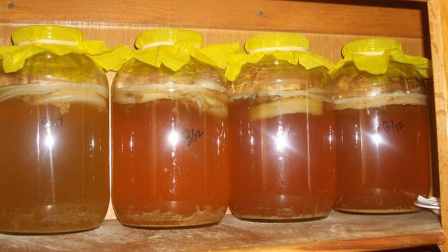 Kombucha bottles. Net.