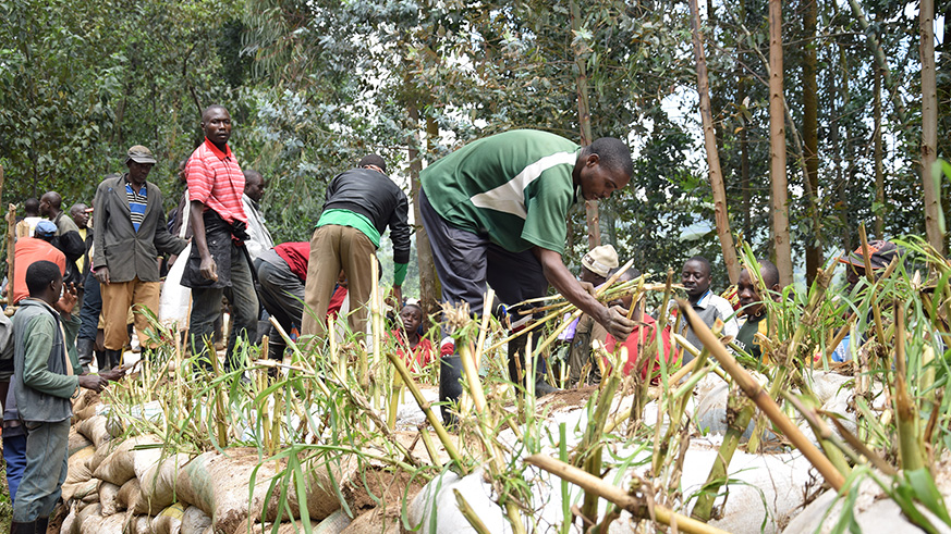 Sandbags placed along Sebeya river to control the river flow which has for several occasions caused flooding destroying properties of the population.