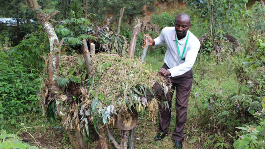 Bee keeping is one of investment opportunities in forests.