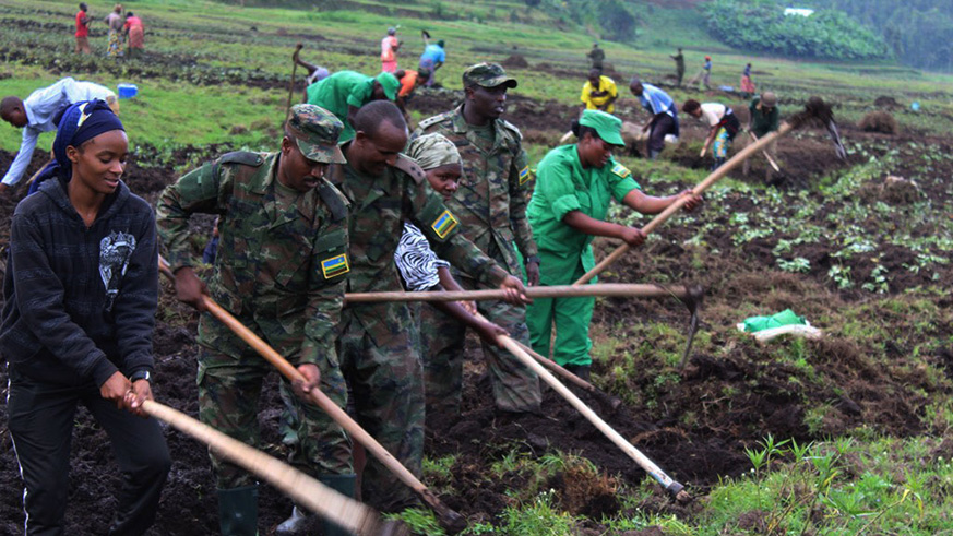 RDF soldiers and Rulindo residents cultivate land for farming on Friday. Jean dâ€™Amour Mbonyinshuti.