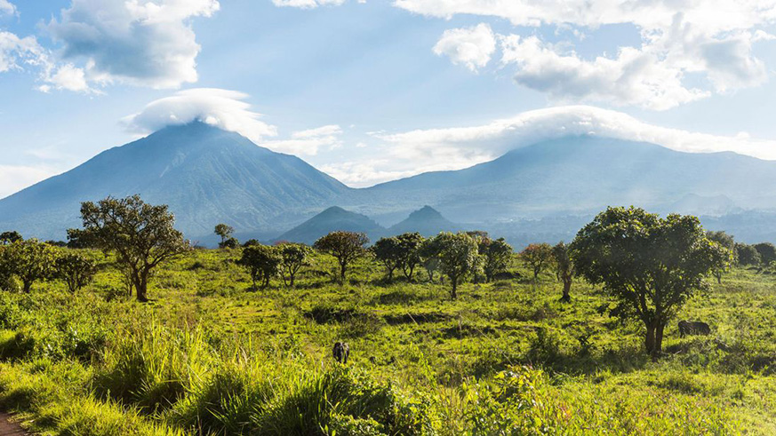 Two British tourists were kidnapped last week at a national park in DRC. (Net photo)