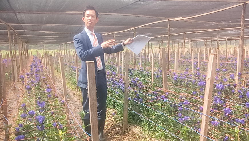 Shungo Harada, the managing director of Bloom Hills Rwanda LTD, the firm that is growing the gentian flowers.
