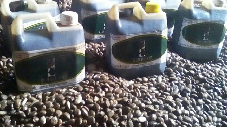 The fuel produced from Ricinus is packaged into Jerry cans. Michel Nkurunziza