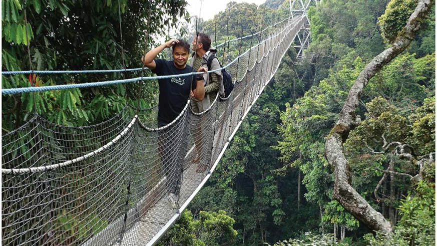 Tourists at the Nyungwe National Park Canopy Walk.