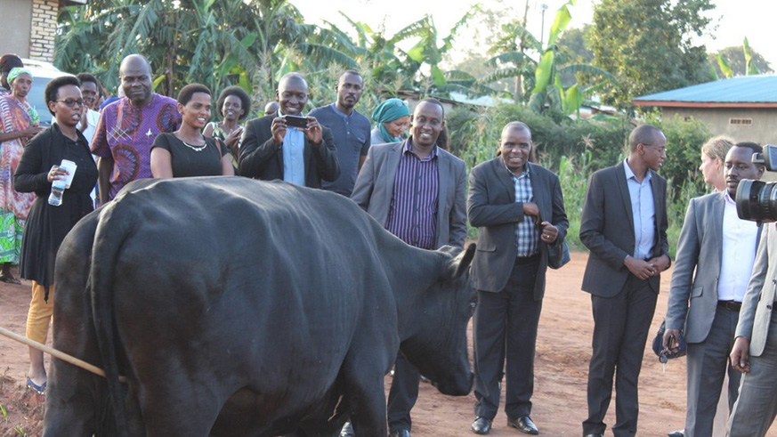 SDGs center for Africa staff visit Ntarama  memorial site and provided cow to survivor .courtesy 