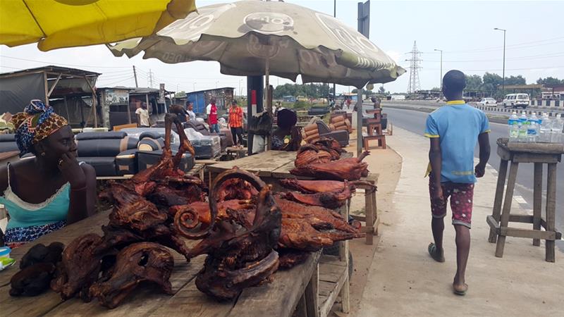 Bushmeat stalls have also returned to the sides of busy highways to cater to travelers. / Internet photo