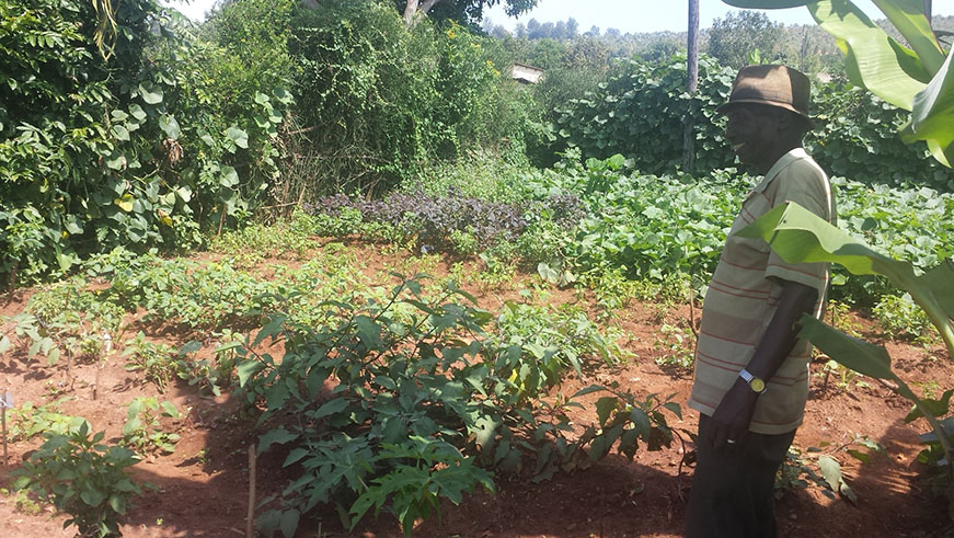 Polepole makes sure he keeps alive his vegetable garden for him to eat properly ElisÃ©e Mpirwa