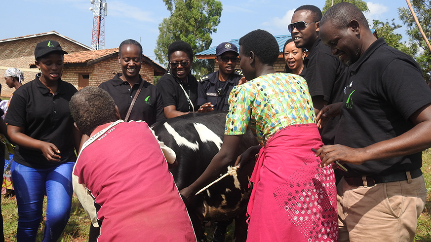 BRD staff handing a cow to the beneficiary.Frederic Byumvuhore
