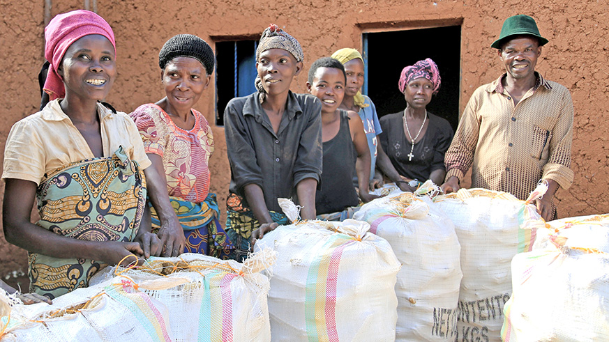 Members of Urugwiro cooperative packing the maize to be sold to AIF. Thanks to World Visionu2019s project, they are able to sell their production on a higher price than before.