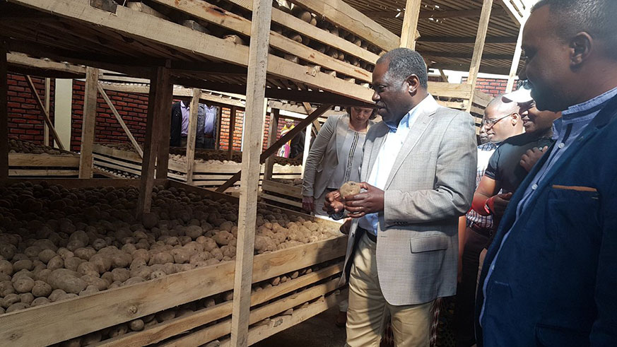 The state minister of Agriculture Fulgence Ngengiyumva  visits one of the seed potato warehouse on Northen province. File.
