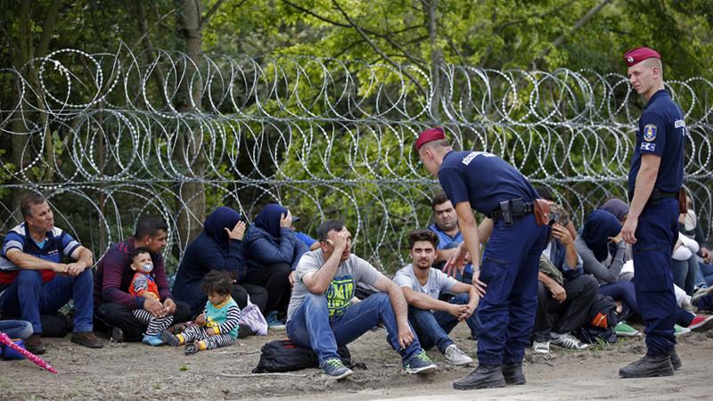 To stop refugees from entering the country, Hungary has built a fence on the Hungary-Serbia border. / Internet photo