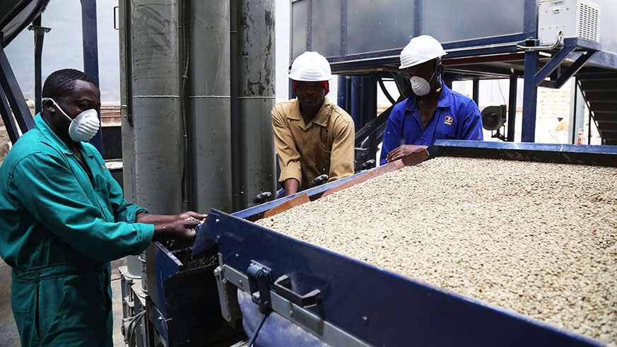 Rwanda Trading Company workers in the coffee processing plant at Kigali Special Economic Zone on Friday. Sam Ngendahimana.