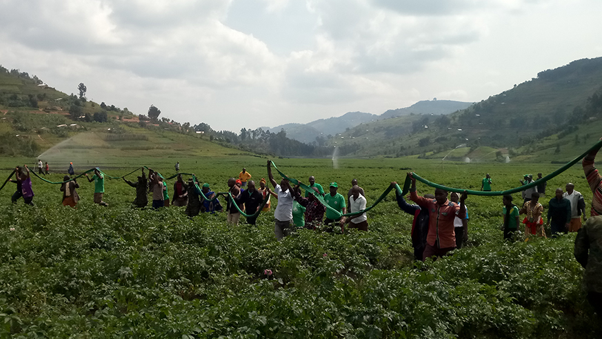 Burera farmers and RDF solders join hands in irrigation activity that is expected to help farmers double to produce. Jean d'Amour Mbonyinshuti