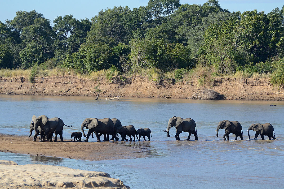 South Luangwa National Park. / Internet photo