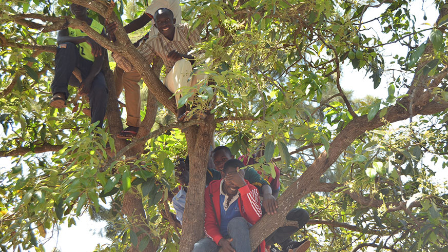It was so crowded that some guys decided to climb trees nearby to follow well