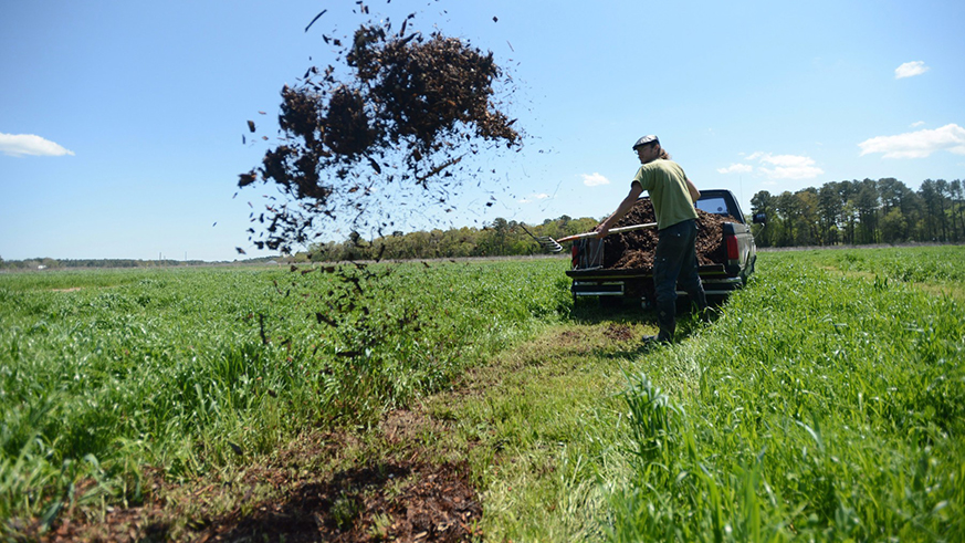 A farmer spreads mulch. Net.