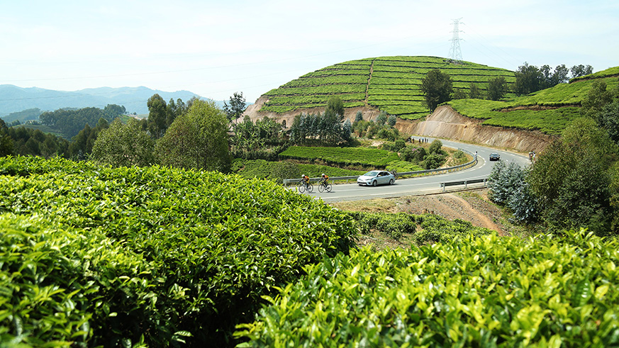 A break away of Patrick Byukusenge and Jean Bosco Nsengimana, captured here in tea plantation near Mukura forest in Rutsiro