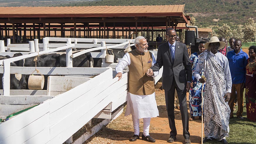 President Paul Kagame and Indian Prime Minister Narendra Modi in Rweru, Bugesera District yesterday, where the visiting Indian leader donated 200 cows to residents u2013 a gesture he said was in support of the Girinka programme. Village Urugwiro