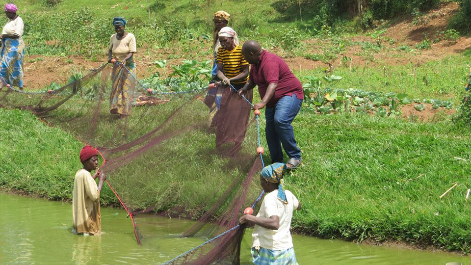 Beneficiaries during fish farming training . Courtesy photos