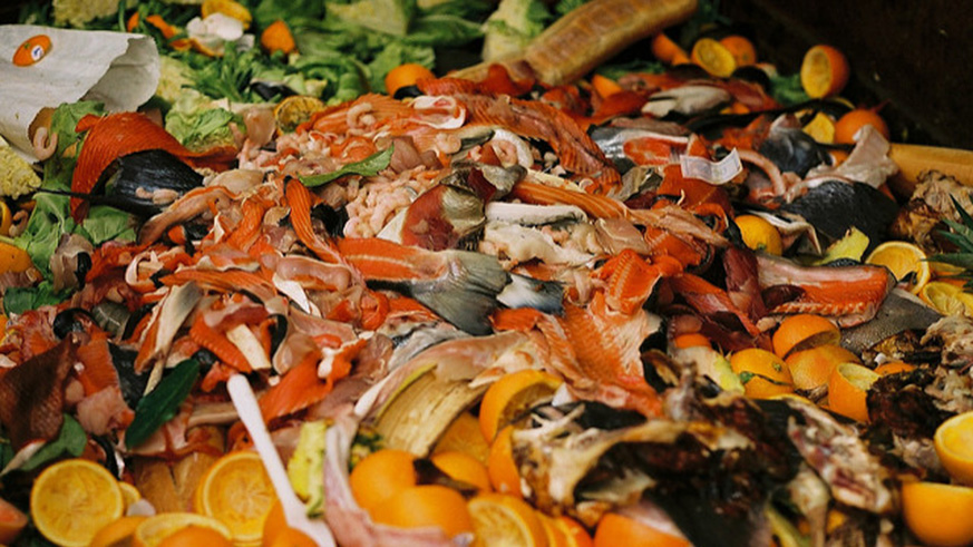 Food waste. Net photo.