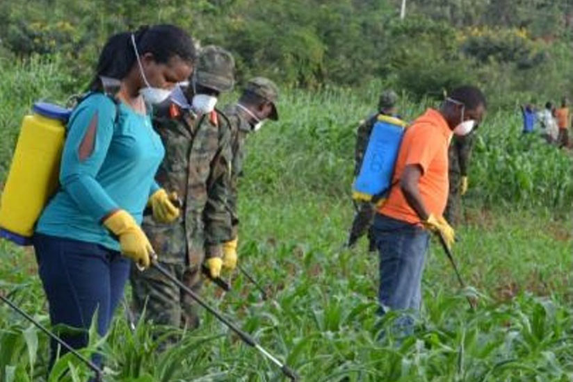 Agrochemicals are widely used in Rwanda as  a mechanism to curb pests and crop diseases.