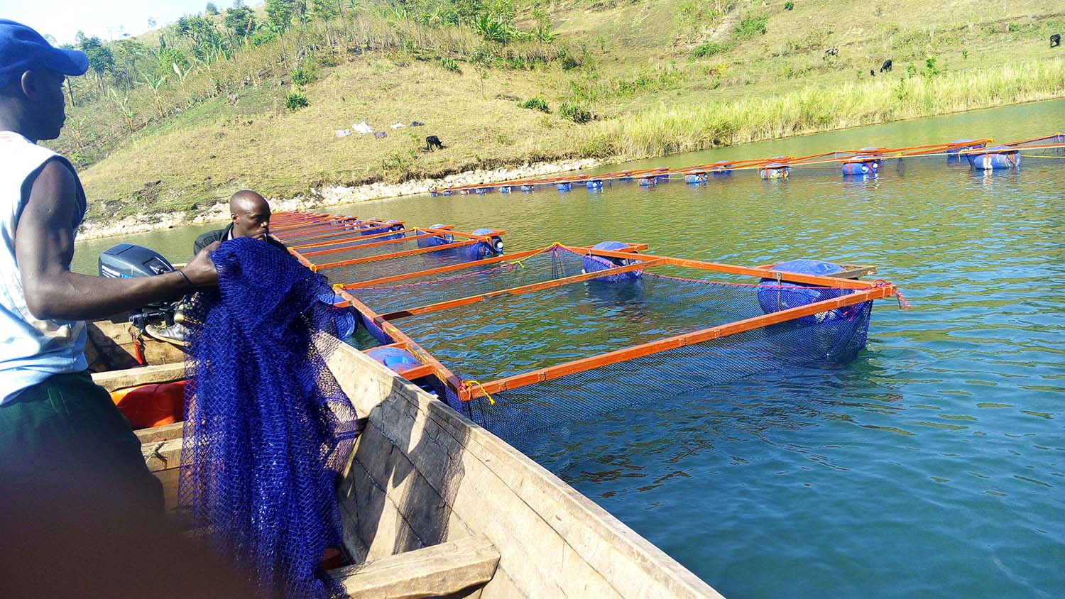 Cage fishing developped in Rutsiro district.