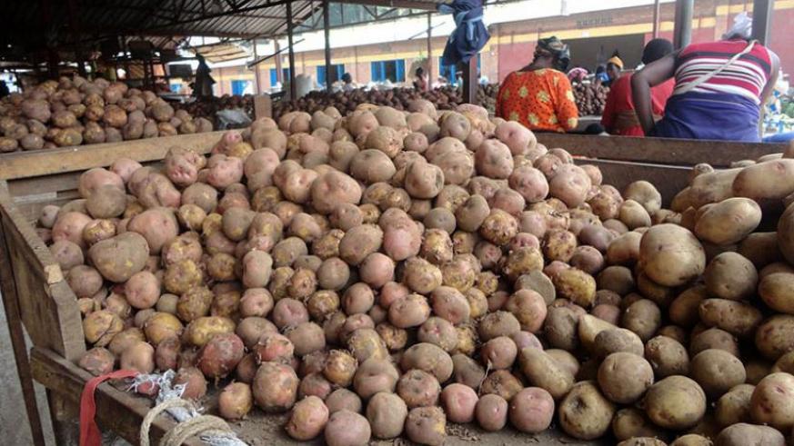 Irish Potatoes on a market stand. Net photo