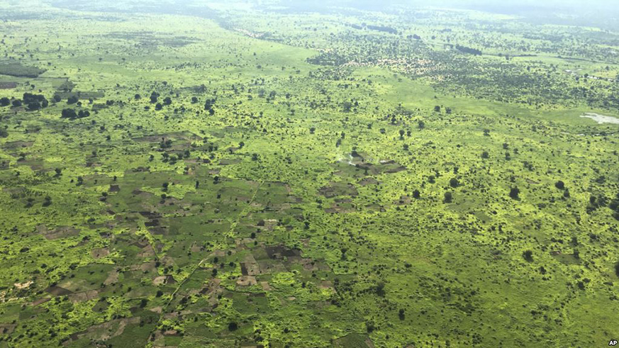 Scattered trees dot the once densely forested land, seen from an airplane in South Sudan in 2017. Net photo.