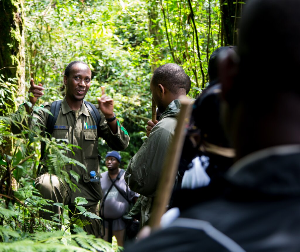 A guide talks to tourists during the first editon of â€˜Tembera u Rwandaâ€™ in Nyungwe National Park in 2016. Faustin Niyigena.