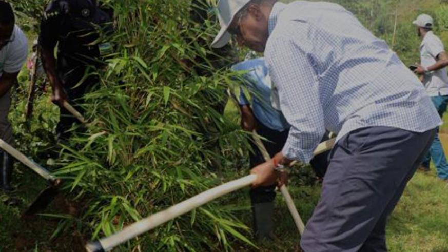 Residents weed under bamboo trees planted as part of the green growth agenda. (Courtesy)