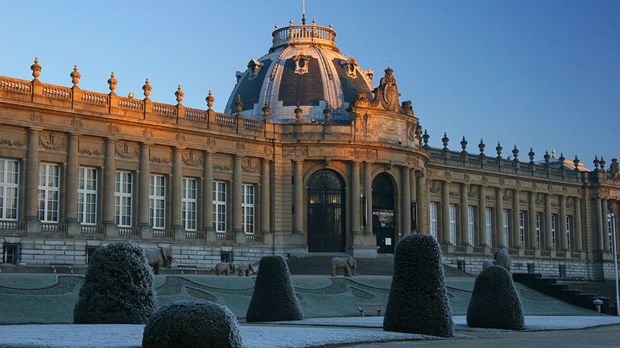 Royal Museum for Central Africa in Belgium. Net photo.