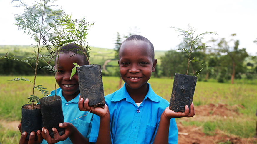 Pupils hold seedlings during a tree planting exercise at Groupe Scolaire Musenyi in Kayonza District. Sam Ngendahimana.