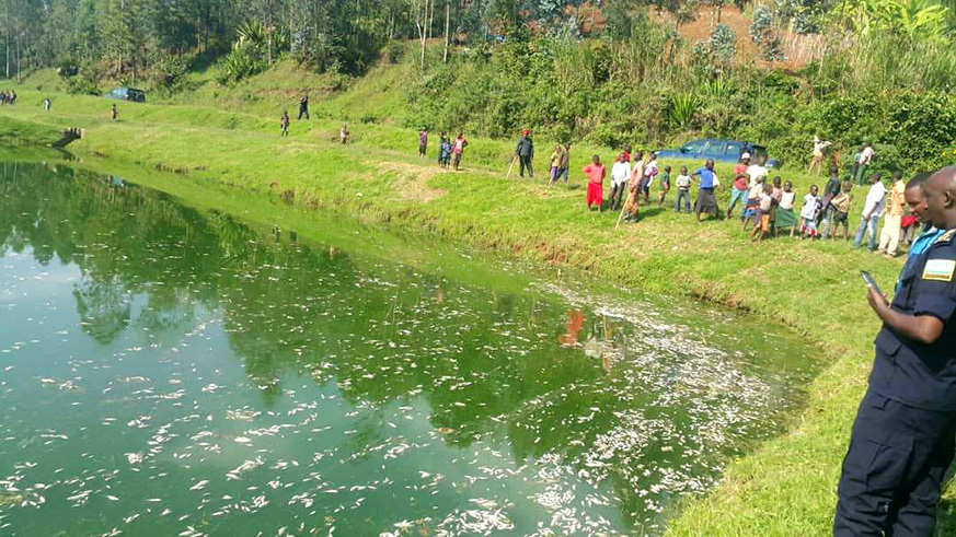 Officials and residents on the banks of one of the ponds where fish stocks died mysteriously in Musanze District last month. File.