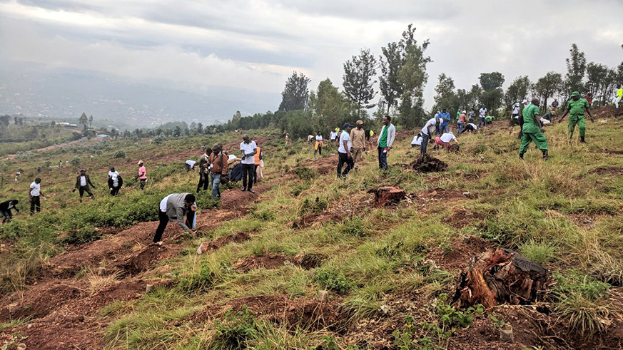 Forests around Rebero hill have been degraded, something that has caused flooding around the area. Michel Nkurunziza.