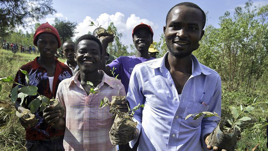 This yearâ€™s tree planting season is dedicated to increasing community involvement and ownership in landscape restoration for enhanced impact and sustainability. Courtesy.
