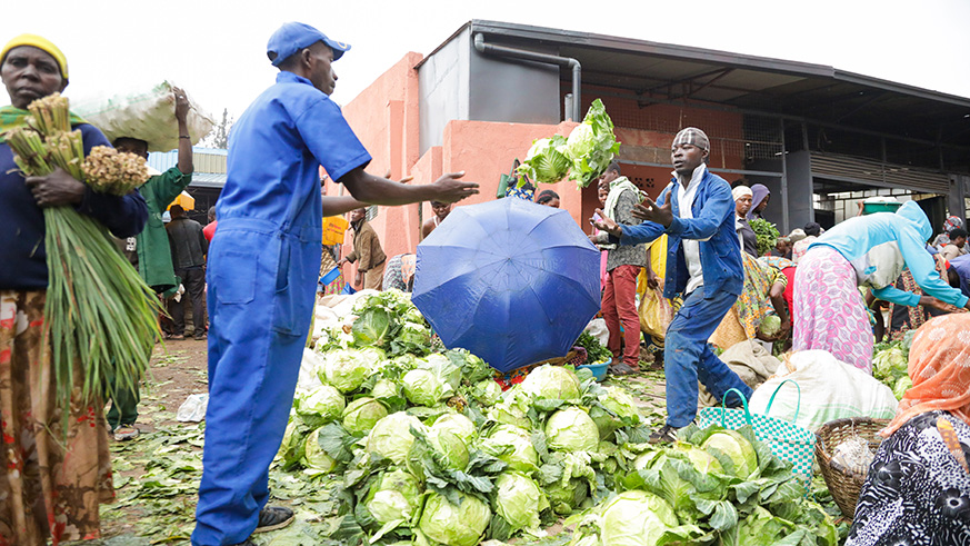 Casual labourers at Nyabugogo collect cabbage from farmers yesterday. Emmanuel Kwizera.