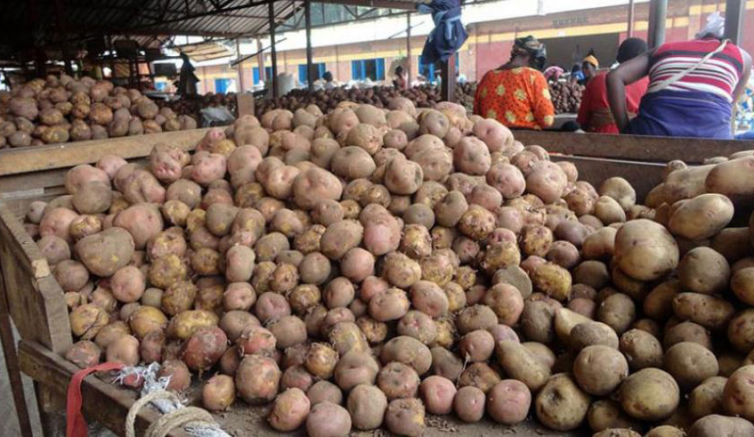 A study by Rwanda Civil Society Platform calls for revisiting of potato pricing. File.