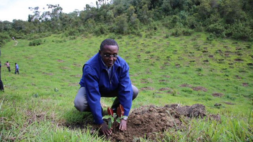 Minister for Environment Dr Vincent Biruta during a past tree planting event. File.