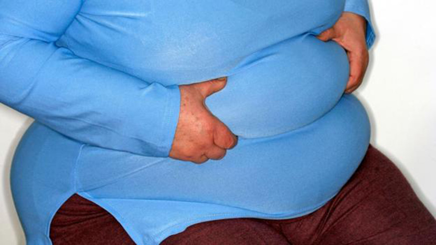 New research reveals that aside from making us sick, toxins are also to blame for making us fat. Net photo.