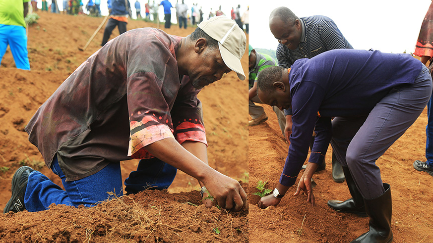 South African High Commissioner to Rwanda, George Twala (left), who is also the Dean of Diplomatic Corps and Foreign Affairs Minister Richard Sezibera planting trees during Umuganda yesterday in Kamonyi District. Sam Ngendahimana.