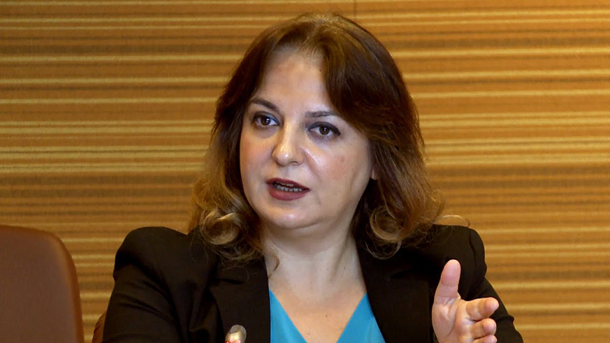 Isabel Ortiz, the Director of Social protection Department at ILO. Courtesy.