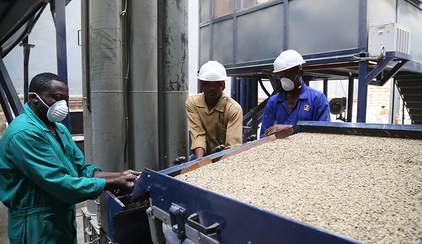 Workers of Rwanda Trading Company, the first local coffee exporter, at the factory at Kigali Special Economic Zone. Sam Ngendahimana.