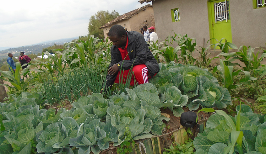 Damascene Maniraguha, the representative of the saving group said that each member contributes Rwf500 to the group every Monday and they also have kitchen gardens. Photos by Michel Nkurunziza.