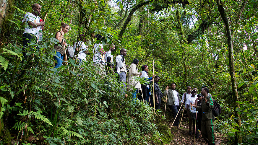 Local tourists tour a waterfall in Nyungwe National Park during the Tembera u Rwanda campaign. Faustin Niyigena.