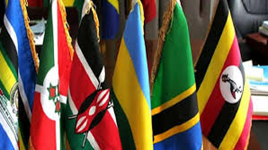 The EAC member states will meet next week after the first one was postponed.