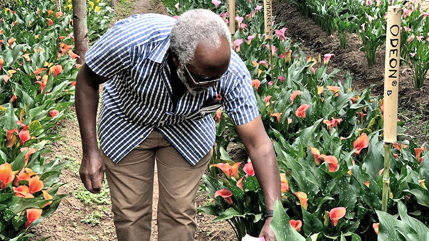 Nziyonsenga believes that there is a lot Rwandans can do with flowers. courtesy photos