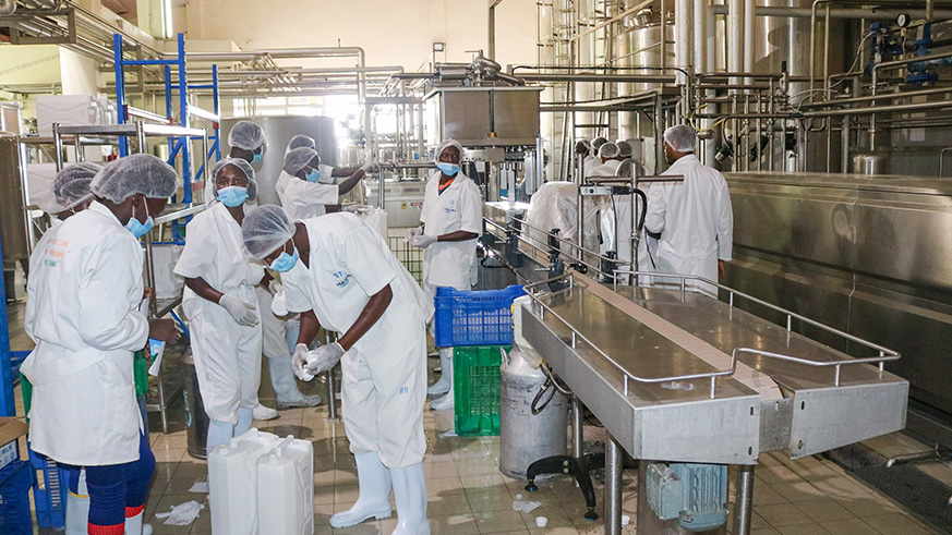 Apprentices at Mukamira Milk Processing Plant in Mukamira Sector, Nyabihu District. Ru00e9gis Umurengezi.