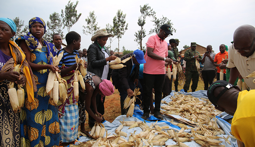 Officials and maize farmers in Kayonza District at an event last week. Jean de Dieu  Nsabimana.
