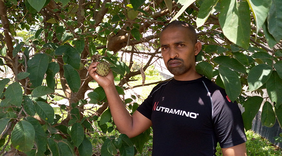 Ngabonzima with a cherimoya tree he has looked after. He is passionate about caring for fruits that risk going extinct. / Jean de Dieu Nsabimana